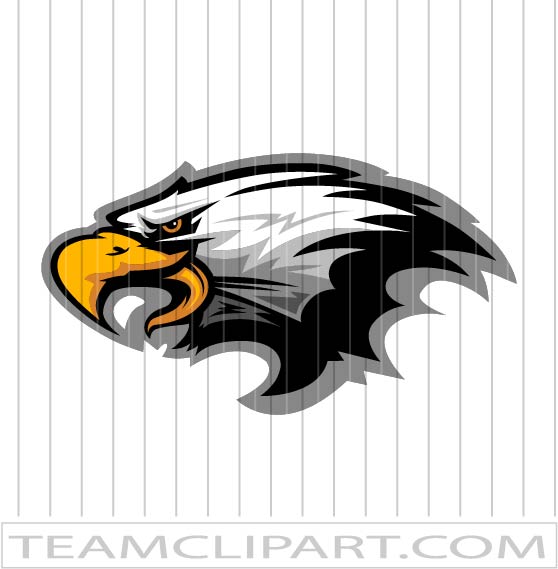 eagle mascot vector