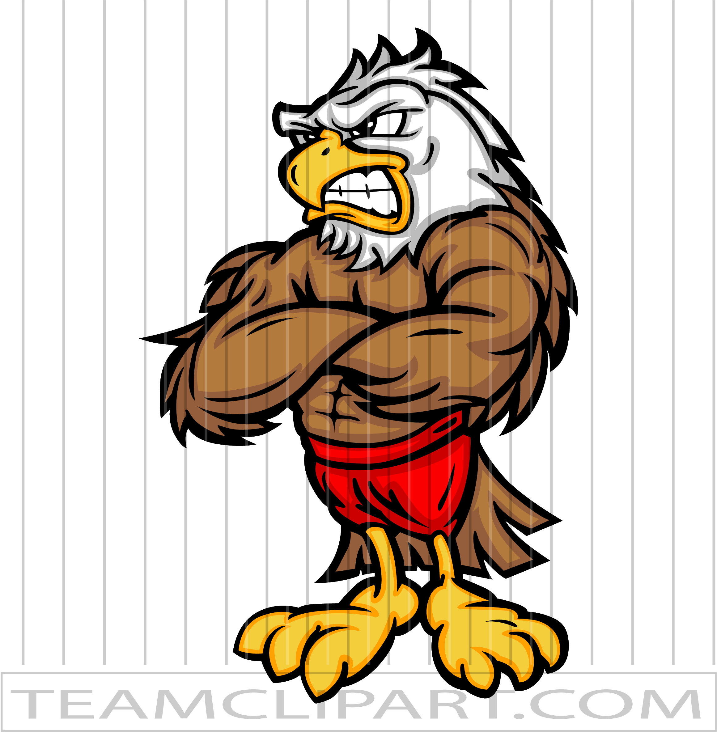 cartoon eagle mascots