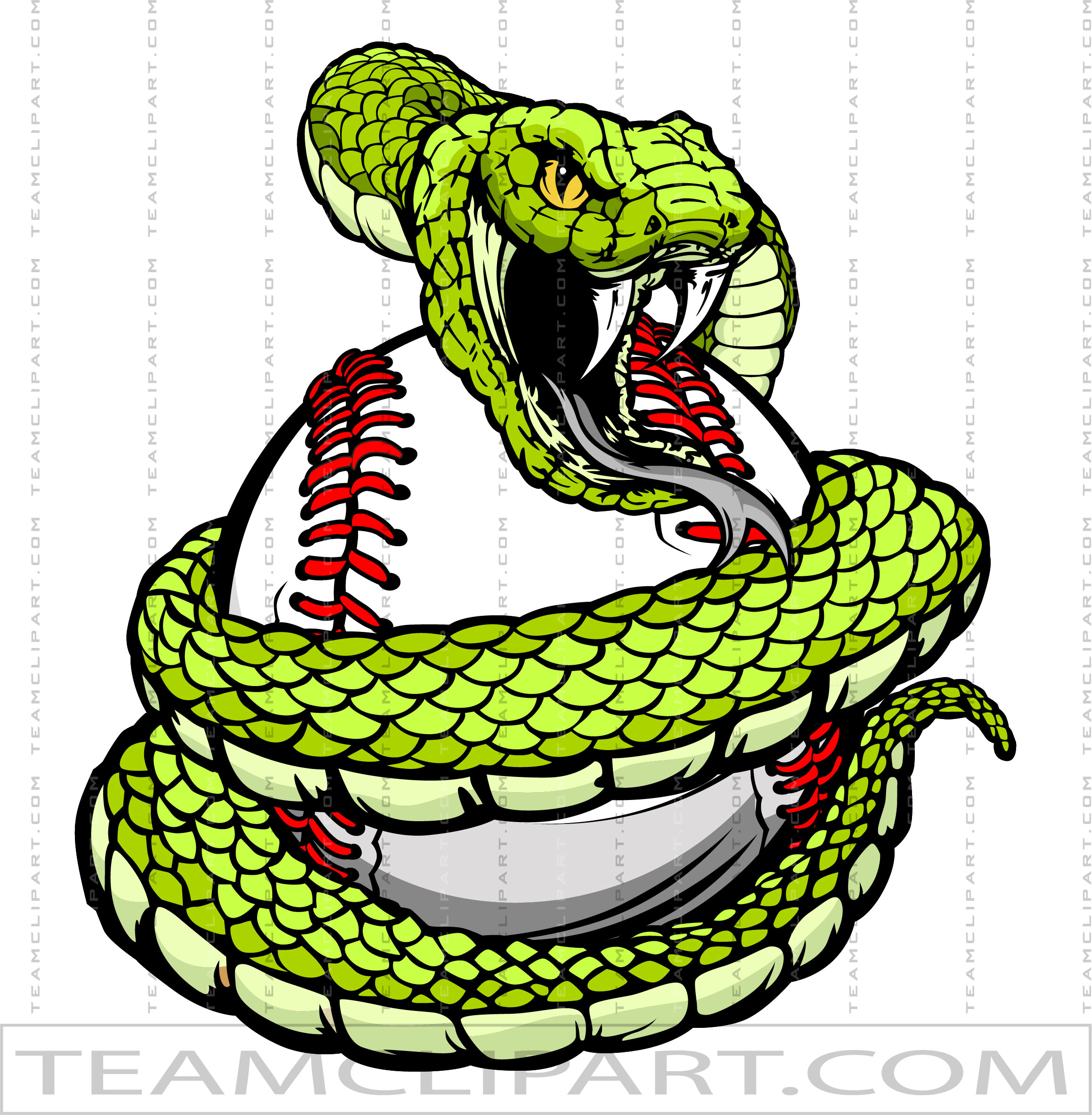 Vipers Baseball Logo Quality Clipart Images Ai Eps Png